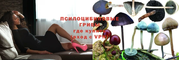 твердый Волоколамск