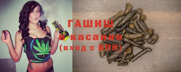 стафф Богданович